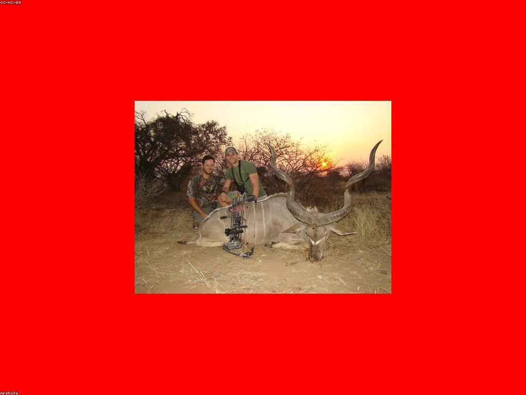 គន្លីះដើម្បីការបាញ់ឈើ